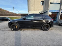
										ALFA ROMEO Stelvio 2.0 TI Q4 Automatic full									
