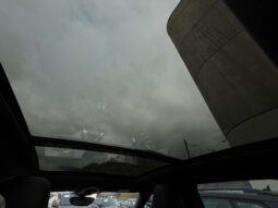 
										PORSCHE Cayenne S E-Hybrid full									