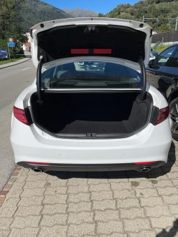 
										ALFA ROMEO Giulia 2.2 JTDM Super Automatic (Berlina) full									