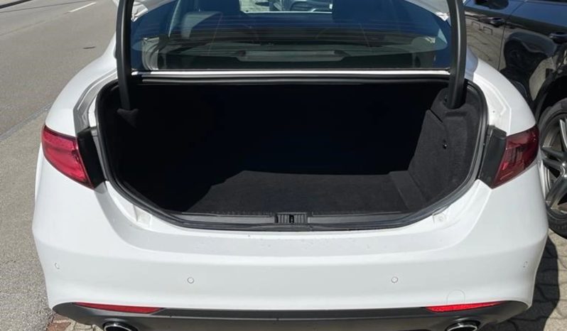 
								ALFA ROMEO Giulia 2.2 JTDM Super Automatic (Berlina) full									