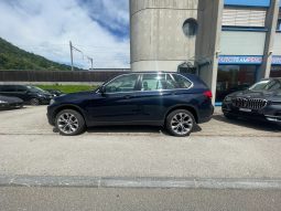
										BMW X5 xDrive 25d Steptronic (SUV / Fuoristrada) full									