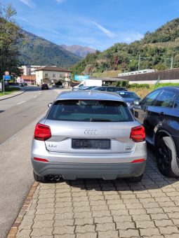 
										AUDI Q2 2.0 TDI design quattro S-tronic (SUV / Fuoristrada) full									