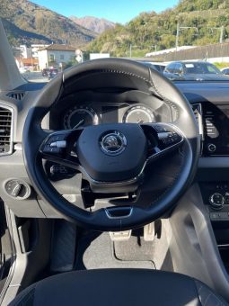 
										SKODA Karoq 2.0 TDI CR Ambition 4×4 DSG (SUV / Fuoristrada) full									
