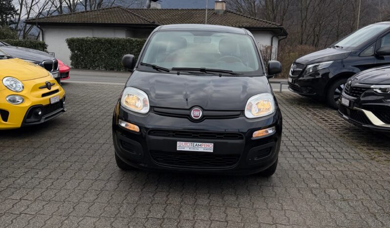 
								FIAT Panda 1.2 Lounge (Piccola auto) full									