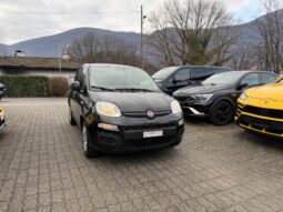 FIAT Panda 1.2 Lounge (Piccola auto)