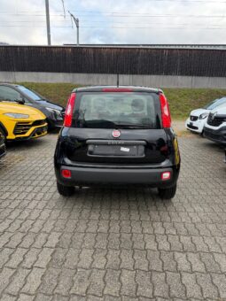 
										FIAT Panda 1.2 Lounge (Piccola auto) full									