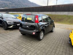 
										FIAT Panda 1.2 Lounge (Piccola auto) full									